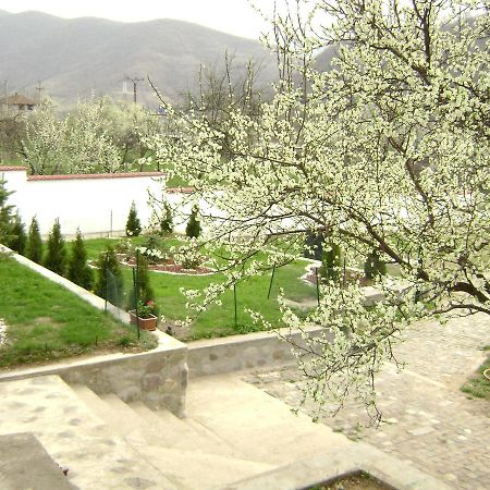 Pension Casa Natura Băile Herculane Exteriör bild