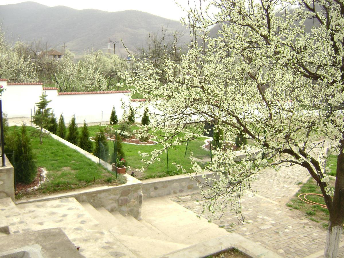 Pension Casa Natura Băile Herculane Exteriör bild