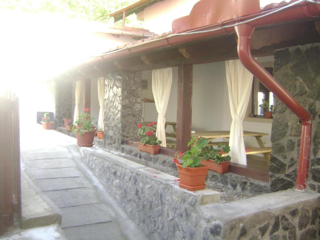 Pension Casa Natura Băile Herculane Exteriör bild
