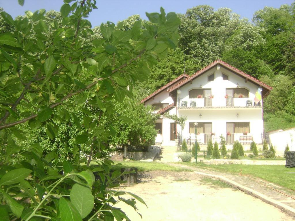 Pension Casa Natura Băile Herculane Exteriör bild