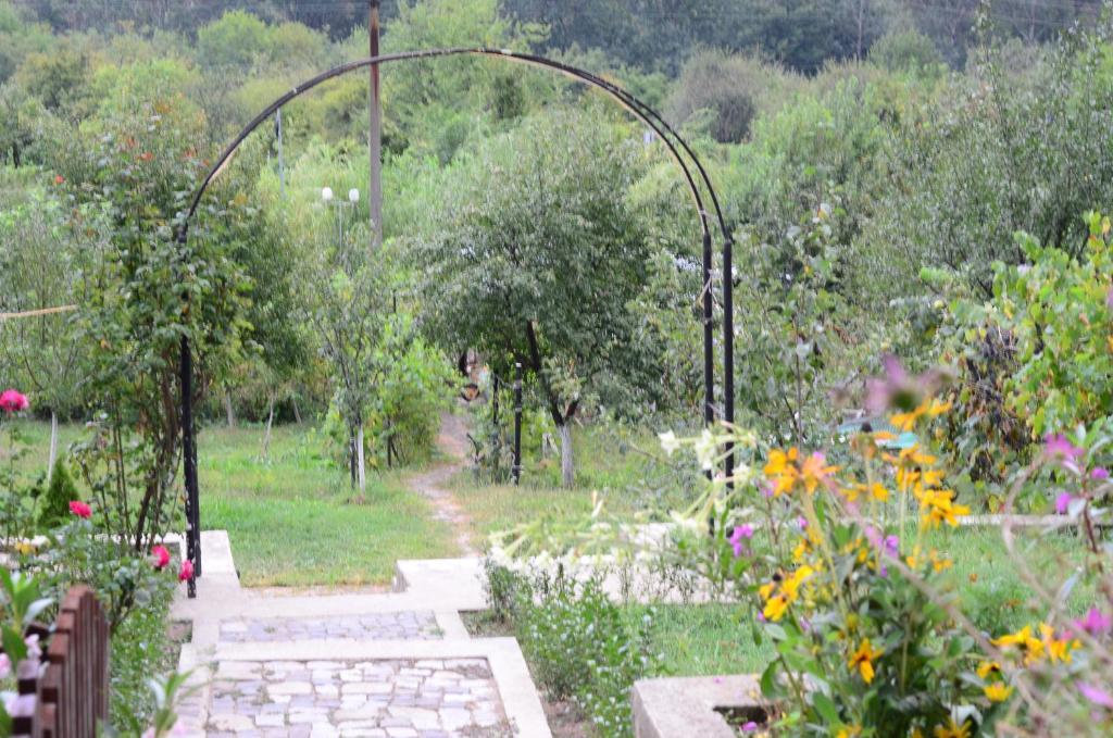 Pension Casa Natura Băile Herculane Exteriör bild