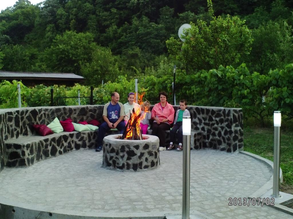 Pension Casa Natura Băile Herculane Exteriör bild