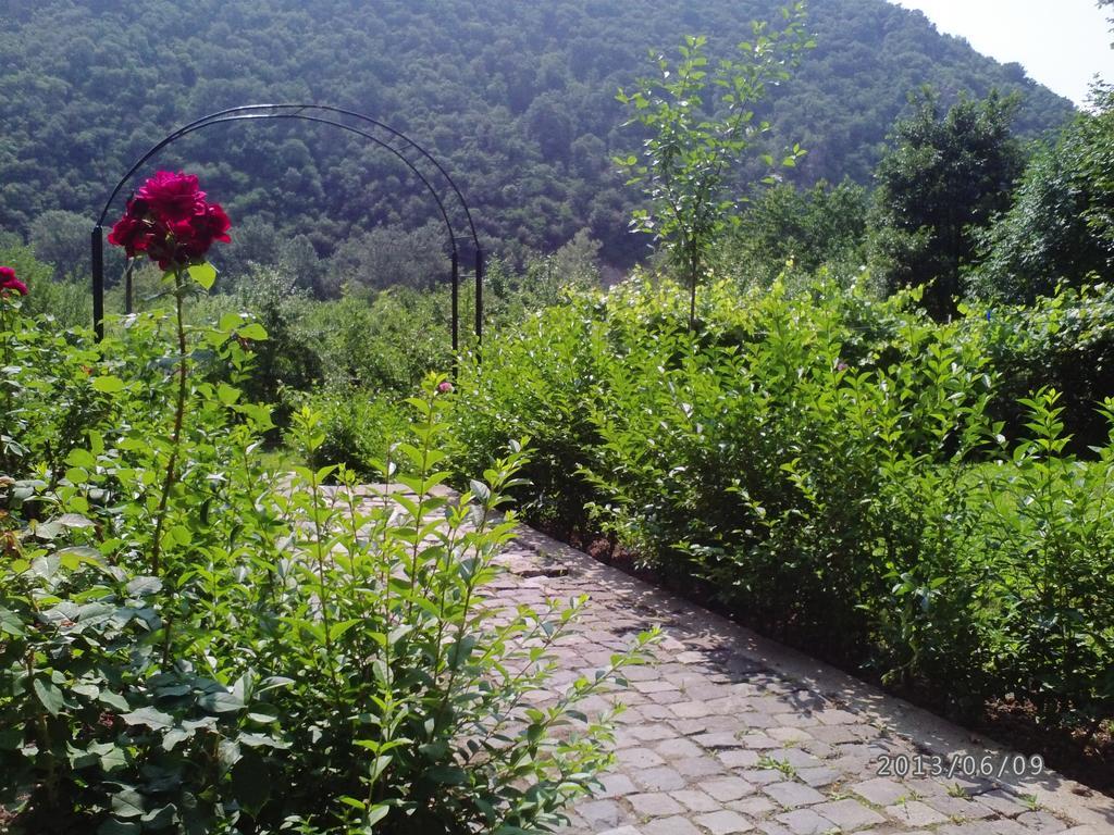 Pension Casa Natura Băile Herculane Exteriör bild