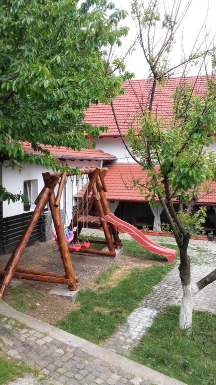Pension Casa Natura Băile Herculane Exteriör bild