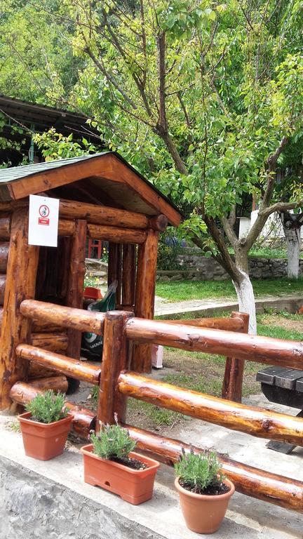 Pension Casa Natura Băile Herculane Exteriör bild