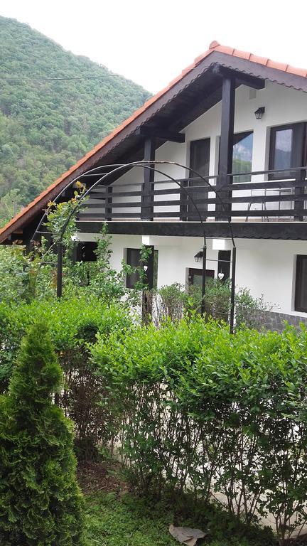 Pension Casa Natura Băile Herculane Exteriör bild