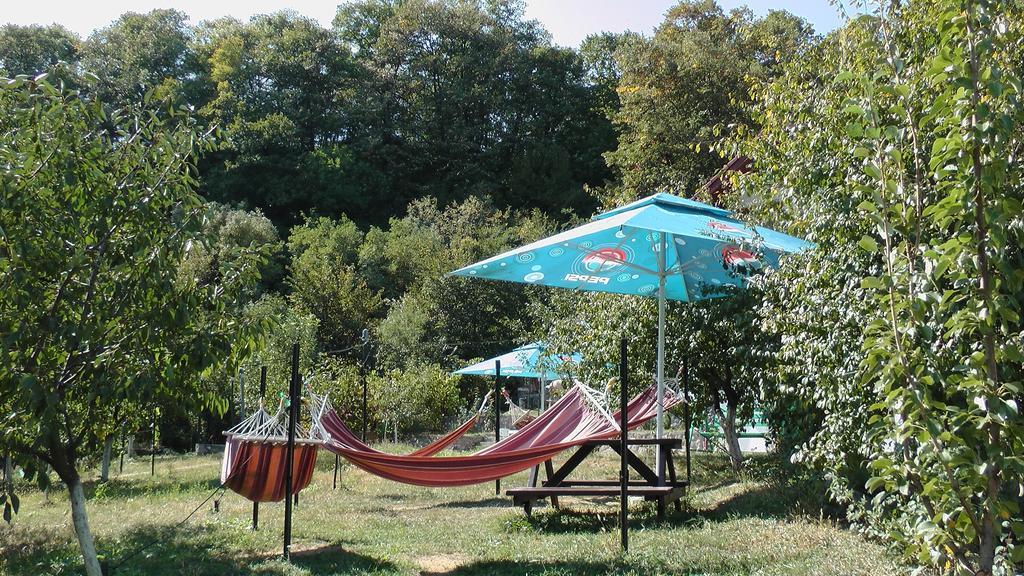 Pension Casa Natura Băile Herculane Exteriör bild